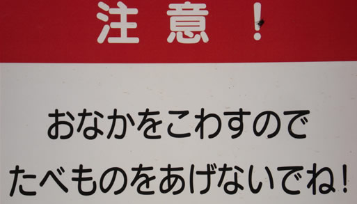 ���������ӎ����I