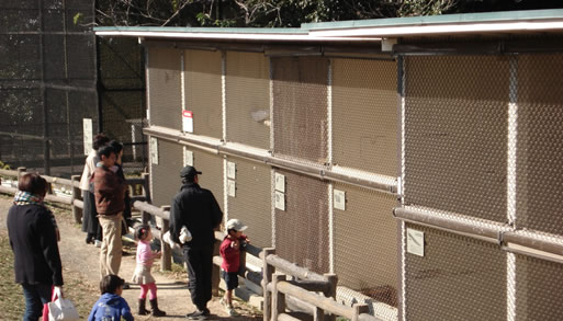 ��I�R�����̏�������