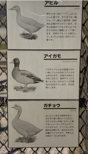 ��I�R�����A�q��