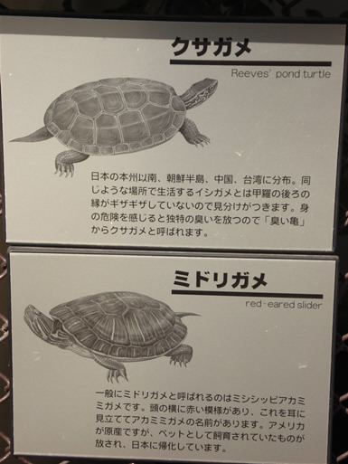 ��I�R����k�J��