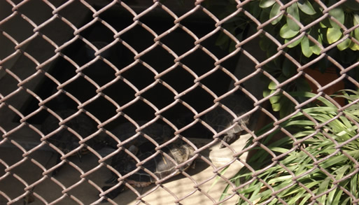 ��I�R�����N�T�K��