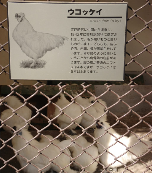 ��I�R�����E�b�R�P�C