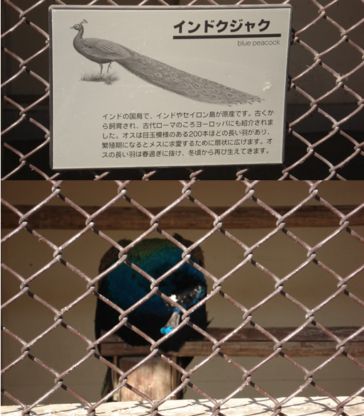 ��I�R����
�N�W���N