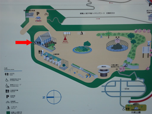 ��I�R�����g�C��