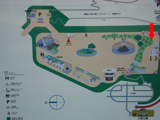 ��I�R���������}