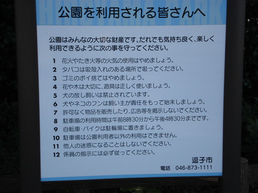 ���������ӎ����I