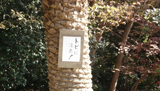 ���������ӎ����I