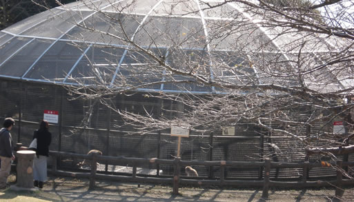 ��I�R�����j�z���U��